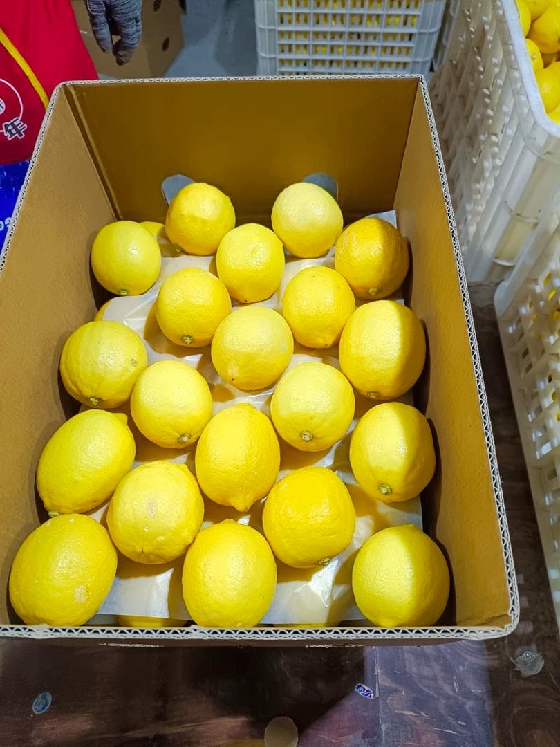 Lemon Export Shipment